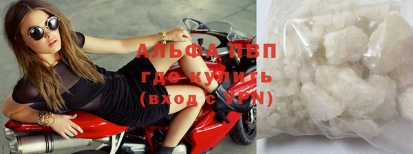 МДПВ Кадников