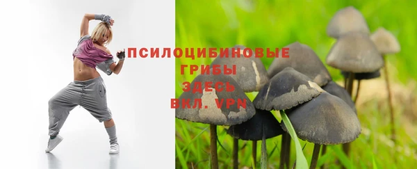 mdpv Покачи