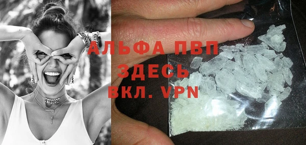 сатива Ельня