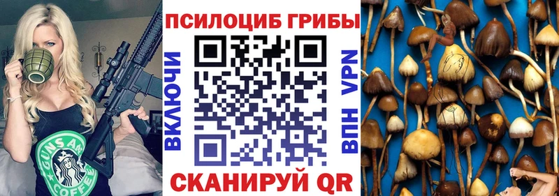 mega сайт  Сибай  Псилоцибиновые грибы Psilocybine cubensis 