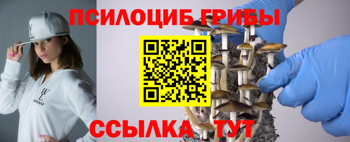 Галлюциногенные грибы MAGIC MUSHROOMS  Псилоцибиновые грибы Magic Shrooms  Сибай 