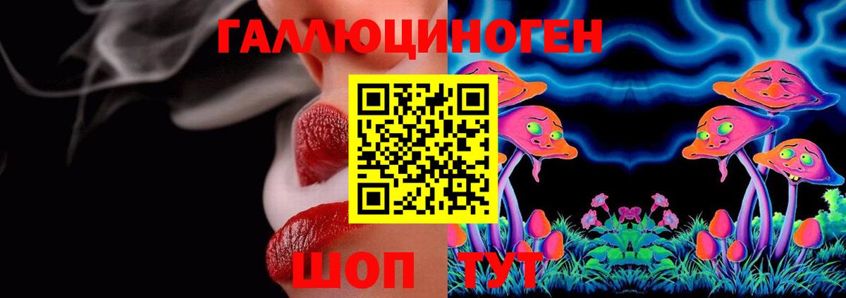 купить закладку  Псилоцибиновые грибы Psilocybe  Галлюциногенные грибы Psilocybe  Вход с VPN  Сибай 